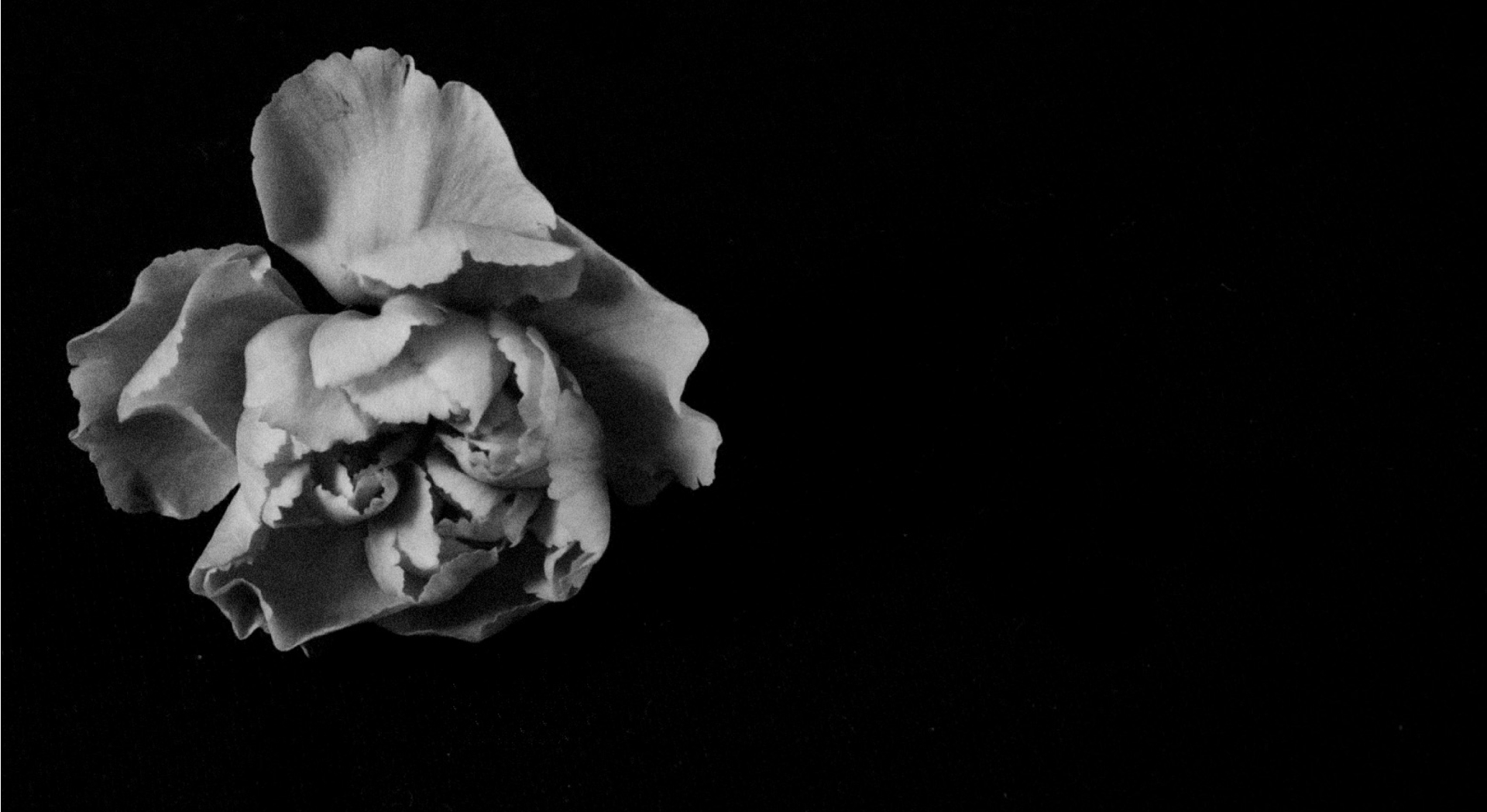 BACK<br />
to <br />
Black