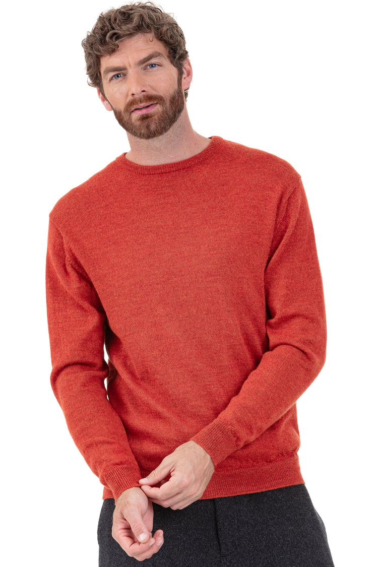 Nestor-Alpaga in baby alpaca men's - pumpkin - Mahogany