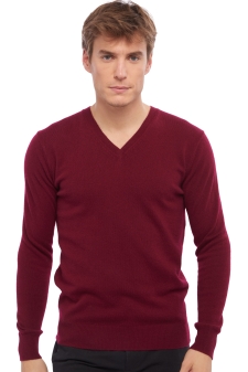 Men's V neck cashmere sweater - 100 cashmere |Mahogany