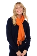 Cashmere accessories scarves mufflers kazu170 orange popsicle 170 x 25 cm