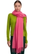 Cashmere accessories scarves mufflers niry sorbet 200x90cm
