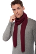 Cashmere accessories scarves mufflers ozone burgundy 160 x 30 cm