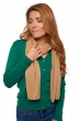 Cashmere accessories scarves mufflers ozone camel 160 x 30 cm