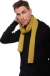 Cashmere accessories scarves mufflers ozone caterpillar 160 x 30 cm