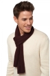 Cashmere accessories scarves mufflers ozone cinnabar 160 x 30 cm