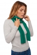 Cashmere accessories scarves mufflers ozone green grass 160 x 30 cm