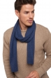 Cashmere accessories scarves mufflers ozone indigo 160 x 30 cm