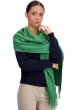 Cashmere accessories scarves mufflers tartempion basil 210 x 45 cm
