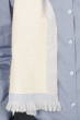 Cashmere accessories scarves mufflers tonnerre ciel pristine 180 x 24 cm
