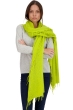 Cashmere accessories scarves mufflers tresor chartreuse 200 cm x 90 cm