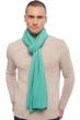 Cashmere accessories scarves mufflers wifi nile 230cm x 60cm