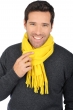 Cashmere accessories scarves mufflers zak170 cyber yellow 170 x 25 cm