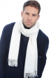 Cashmere accessories scarves mufflers zak170 milk 170 x 25 cm