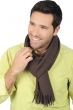 Cashmere accessories scarves mufflers zak170 seal brown 170 x 25 cm
