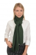 Cashmere ladies scarves mufflers miaou cedar 210 x 38 cm