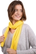 Cashmere ladies scarves mufflers ozone daffodil 160 x 30 cm