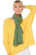 Cashmere ladies scarves mufflers ozone foliage 160 x 30 cm