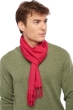 Cashmere ladies scarves mufflers zak170 bright rose 170 x 25 cm