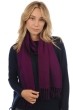 Cashmere ladies scarves mufflers zak170 bright violette 170 x 25 cm