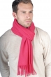 Cashmere ladies scarves mufflers zak200 bright rose 200 x 35 cm