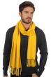 Cashmere ladies scarves mufflers zak200 cyber yellow 200 x 35 cm