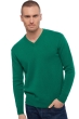 Cashmere men chunky sweater hippolyte 4f evergreen l