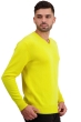 Cashmere men chunky sweater hippolyte 4f jaune citric m