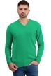 Cashmere men chunky sweater hippolyte 4f new green m