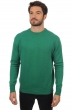 Cashmere men chunky sweater nestor 4f evergreen 3xl