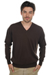 Cashmere men hippolyte seal brown s