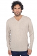 Cashmere men premium sweaters hippolyte 4f premium pema natural l