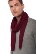 Cashmere men scarves mufflers ozone burgundy 160 x 30 cm