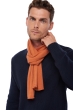 Cashmere men scarves mufflers ozone butternut 160 x 30 cm