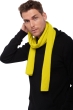 Cashmere men scarves mufflers ozone maize 160 x 30 cm