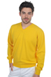 Cashmere men timeless classics gaspard cyber yellow l