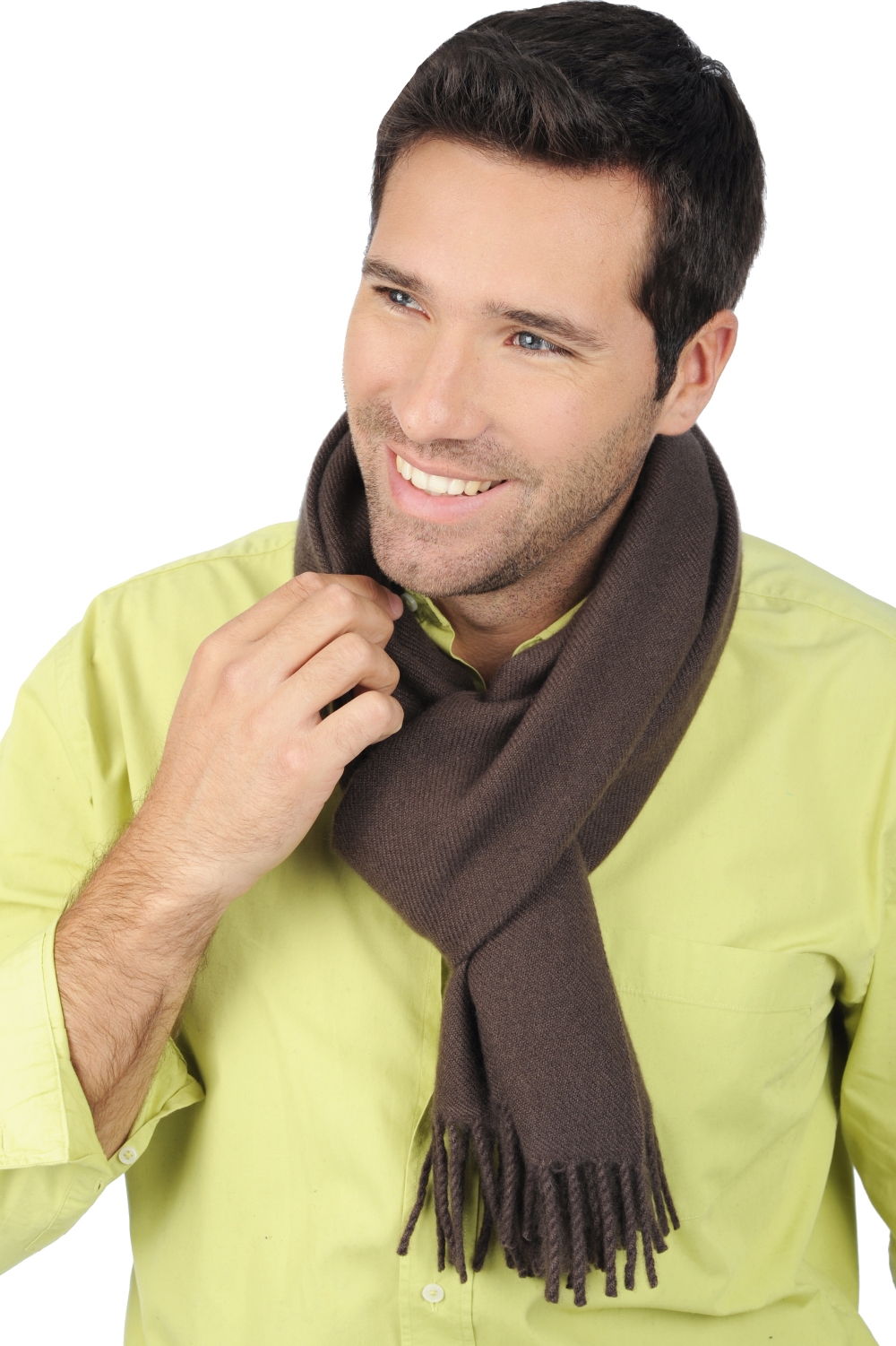 Cashmere accessories scarves mufflers zak200 seal brown 200 x 35 cm