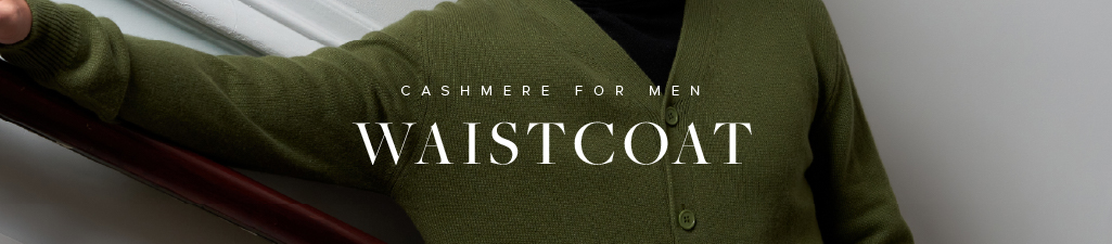 Cashmere for menWaistcoat & Sleeveless sweaters